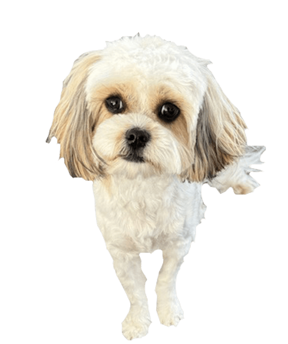 millie